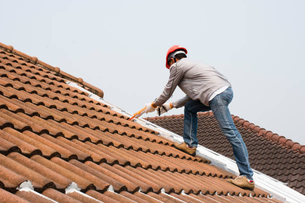 Best Metal Roofing Installation  in Bayfield, CO