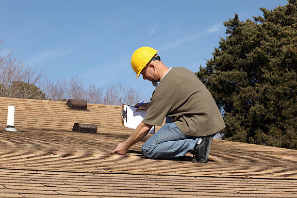 Best Roof Moss and Algae Removal  in Bayfield, CO